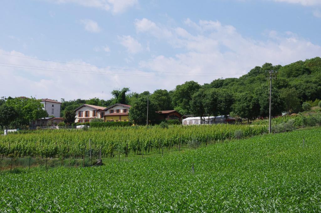 Agriturismo Casa Villi *